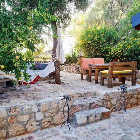 Cinarlar 2* Kaş