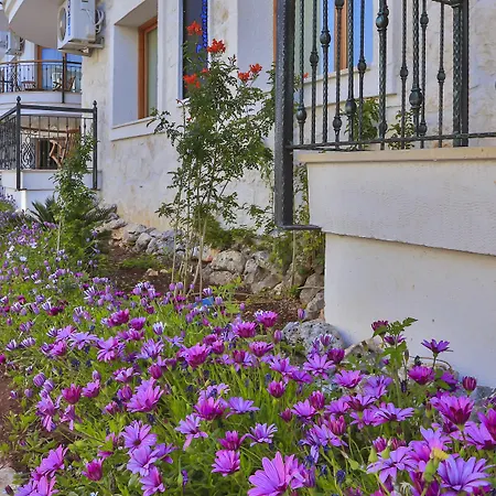 Ξενοδοχείο με διαμερίσματα Cinarlar Κας