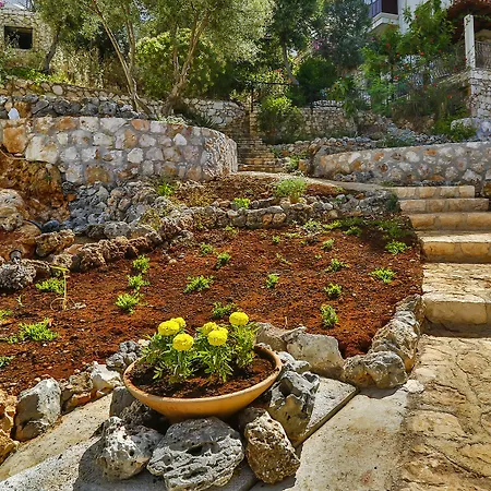 Cinarlar Κας