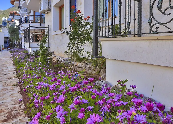 Cinarlar Ξενοδοχείο με διαμερίσματα